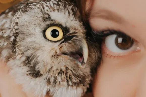 Casino Lucky Tiger Support